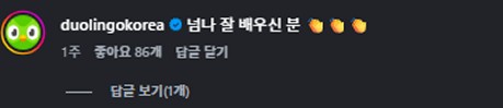 듀오링고 공식 계정 댓글