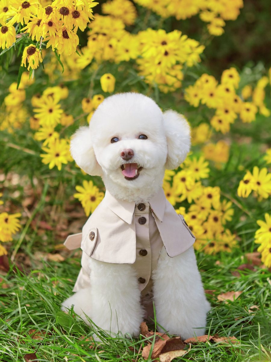 김퓨리 프로필 사진 13